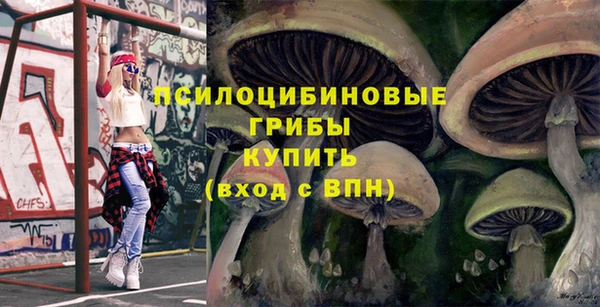 PSILOCYBIN Беломорск