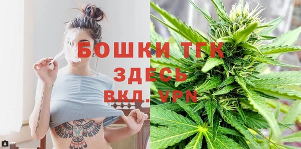 mdpv Богородицк