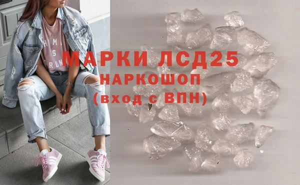 PSILOCYBIN Беломорск