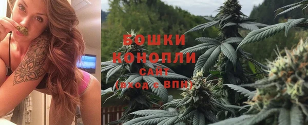 шишки Балабаново