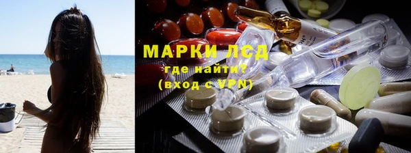 прущие грибы Баксан