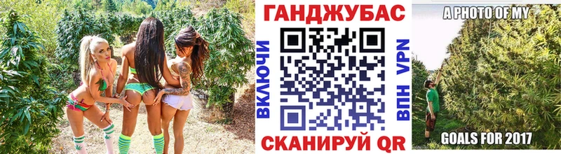 Конопля сатива  Купить закладки  Тихвин 